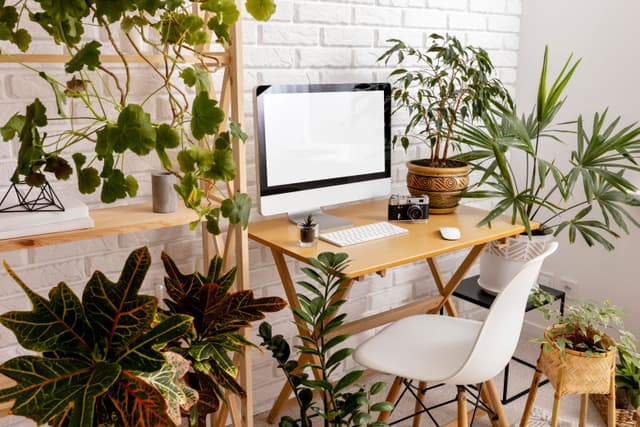 Eco-Friendly Home Office
